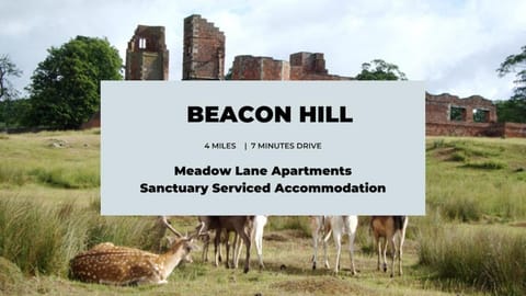 Large Ground Floor Pet Friendly 2 Bedroom Apartment with FREE Parking Apartment in Loughborough