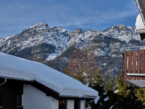 Winter, Mountain view