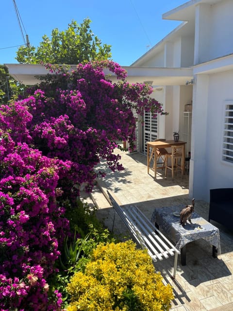 Property building, Garden view