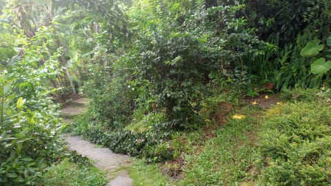 Ilha Grande - Casa Praia da Longa House in Angra dos Reis
