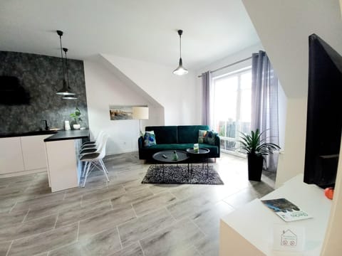 Living room, kitchen