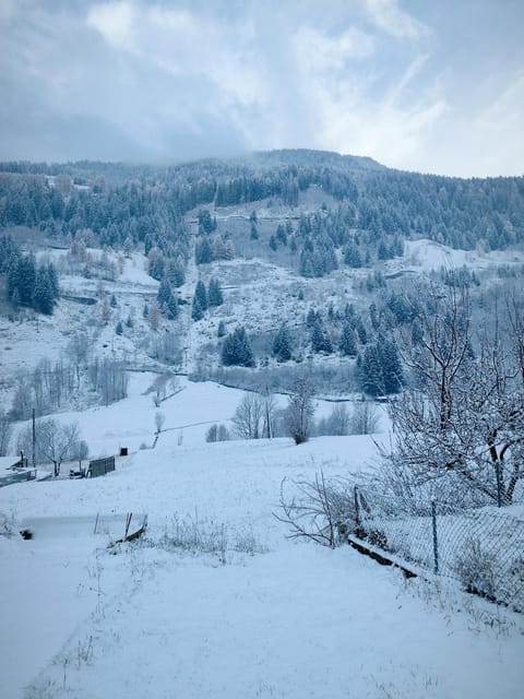 B&B Berninapass- Bernina Experience Bed and Breakfast in Province of Brescia