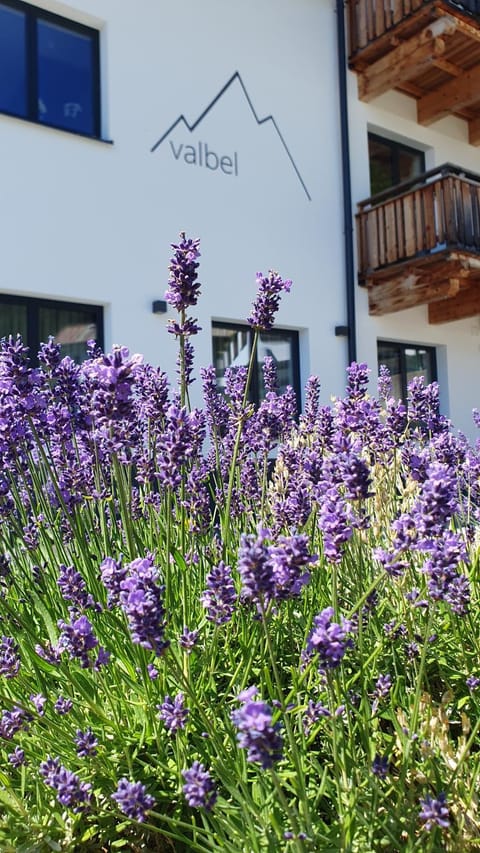 valbel Apartment in Saint Anton am Arlberg