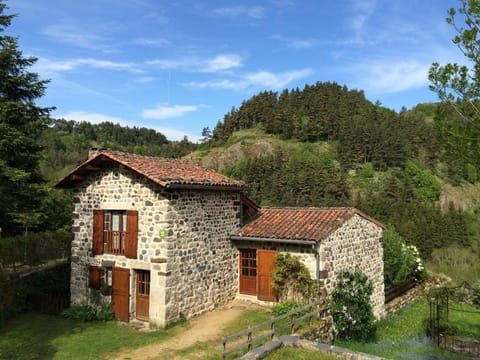 Maison pittoresque à Arlempdes avec cheminée et terrasse - FR-1-582-114 House in Auvergne-Rhône-Alpes