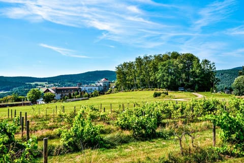 Property building, Summer, Garden, Location