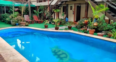 Garden, Swimming pool