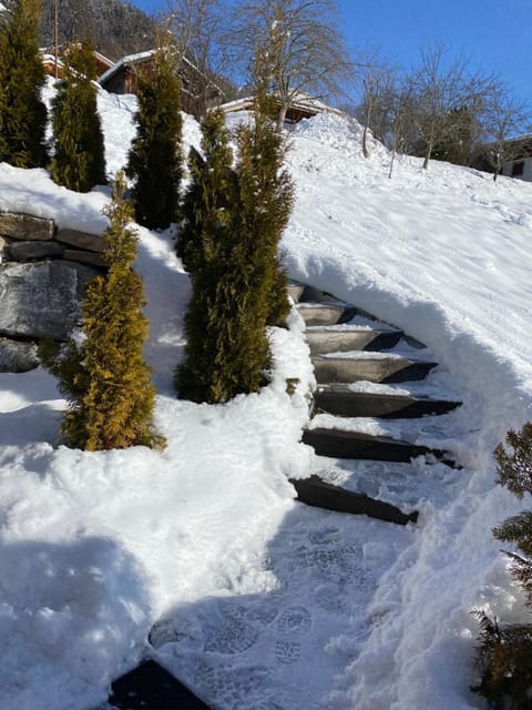 LA PETITE AZALÉE Apartment in Montriond