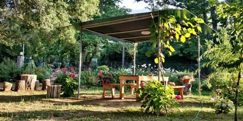 Akamatis Giorgos Bed and Breakfast in Evros, Greece