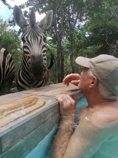 Animals