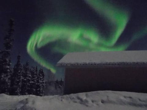Night, Winter