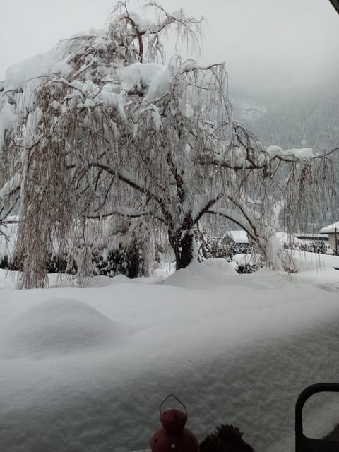 Apartment Suzana Apartment in Tyrol