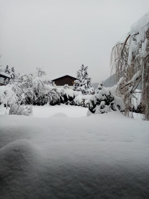 Apartment Suzana Apartment in Tyrol