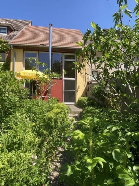 Studio Vineta House in Mecklenburg-Vorpommern, Germany