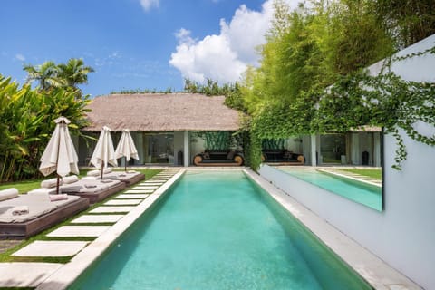 Garden, Garden view, Pool view, Swimming pool, sunbed