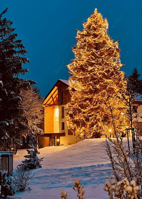 Seetalblick Hotel in Carinthia, Austria