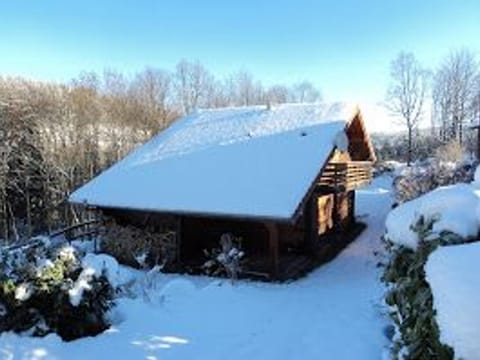 Chalet spacieux près de Gérardmer avec terrasse, verger et activités montagne - FR-1-589-121 House in Vosges