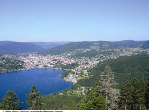 Gîte Confortable en Pleine Nature avec Cheminée et Accès Direct aux Sentiers, Proche Gérardmer et Lac - FR-1-589-124 House in Gérardmer