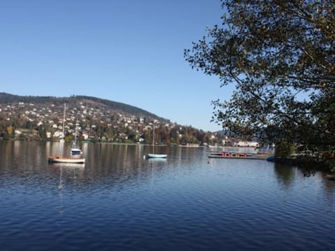 Gîte chaleureux avec terrasse privée à Gérardmer - FR-1-589-159 House in Gérardmer