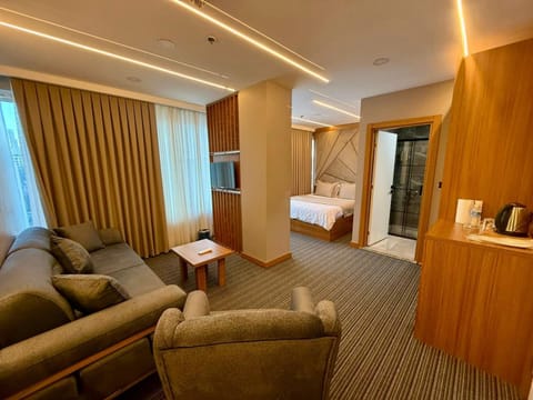 Living room, Photo of the whole room, Seating area