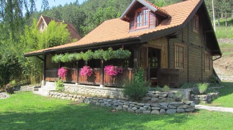 Brvnara Aleksic House in Serbia