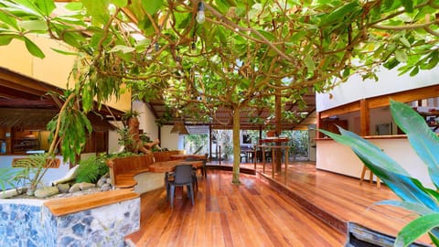 Patio, Dining area