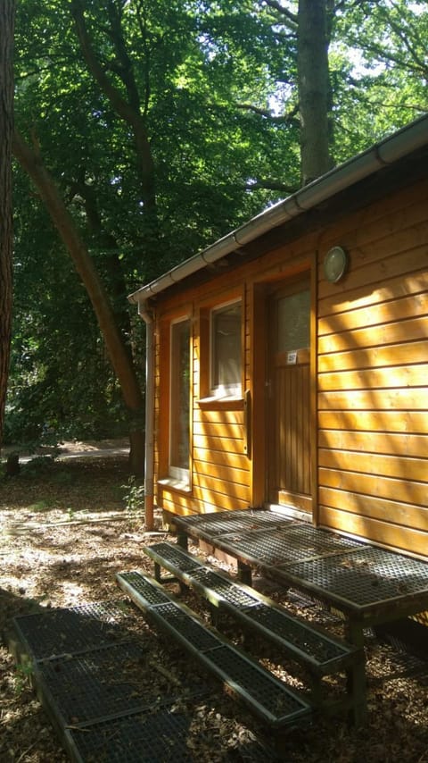 Ferienpark-Eichenwald Apartment in Mecklenburg-Vorpommern, Germany