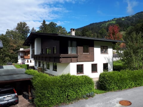 Property building, Neighbourhood, Summer