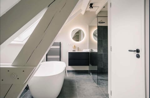 XXL Loft City center Villa Tilburg Willem 2 Apartment in Tilburg