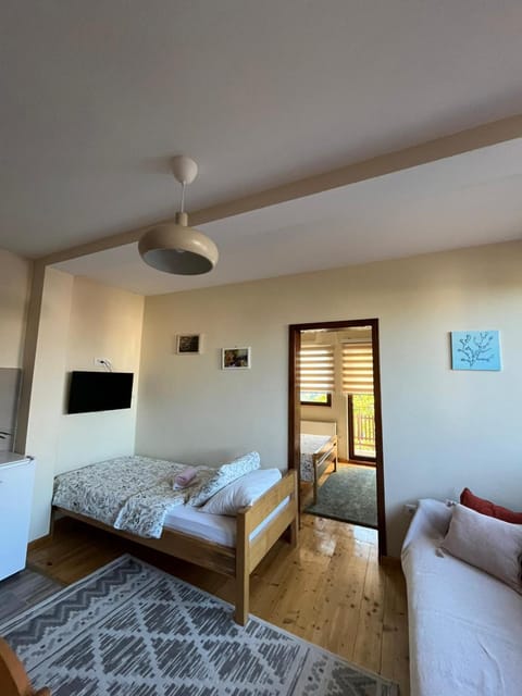 Duša Zlatara Apartment in Zlatibor District, Serbia