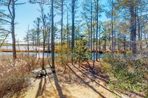 Cat Hill - 436 Tamarack House in South Bethany