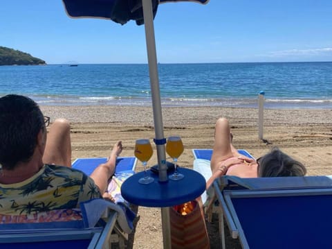 Lounge or bar, Beach, Guests, Sea view, sunbed