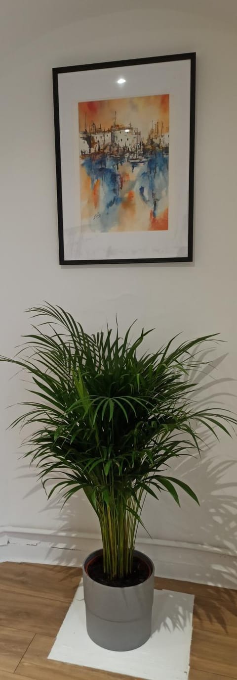 A 4 min du Zoo de Beauval Chambre pour 2 à 4 personnes Bed and Breakfast in Centre-Val de Loire