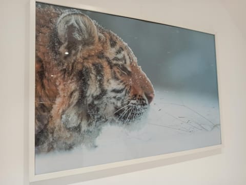 A 4 min du Zoo de Beauval Chambre Cosy 2 personnes sous les combles 2ème étage Bed and Breakfast in Centre-Val de Loire