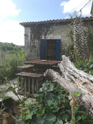 Patio, Garden