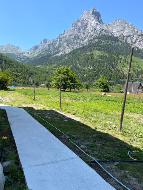 BUJTINA IZET SELIMAj Bed and Breakfast in Montenegro