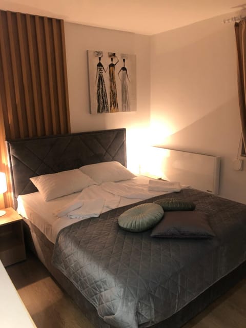 TeonaLux Kraljevi Cardaci 5a/22 Apartment hotel in Serbia