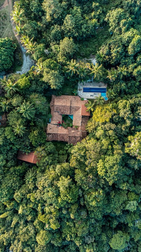 Property building, Natural landscape, Bird's eye view, Garden, Garden view, Swimming pool
