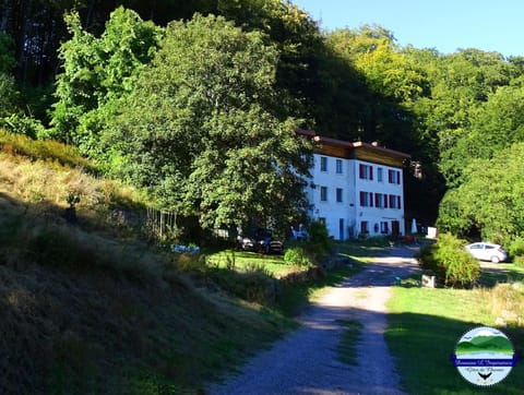 Property building, Spring, Summer