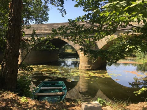 Garden, River view