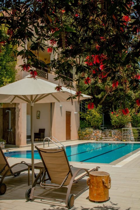 Patio, Day, Pool view, Swimming pool, sunbed