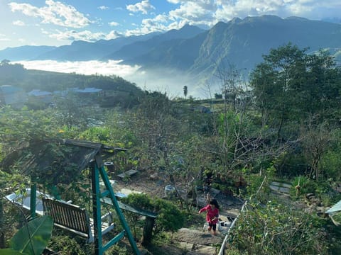 Natural landscape, Mountain view, group of guests
