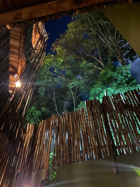 Night, Garden, Garden view