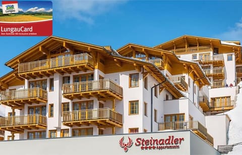 Fewo-Obertauern-Steinadler Apartment in Obertauern