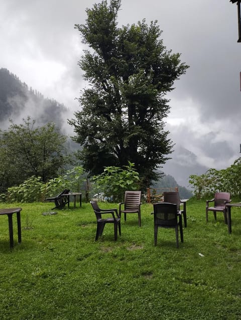 Day, Natural landscape, Garden, Garden view, Mountain view