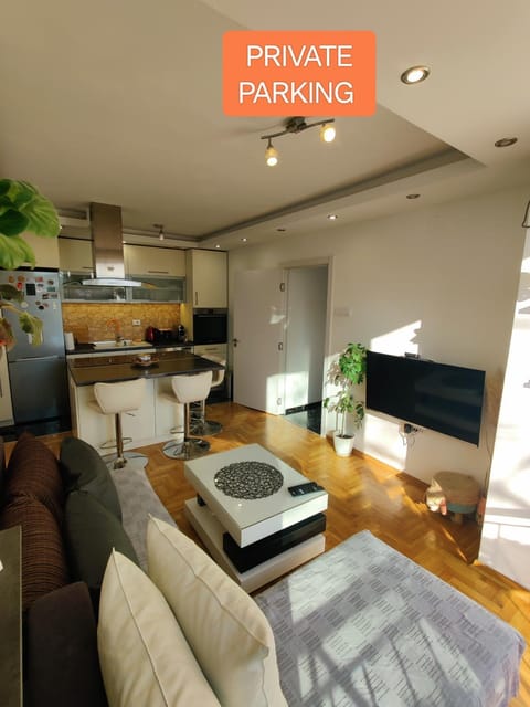 Ana Apartment Apartment in Novi Sad