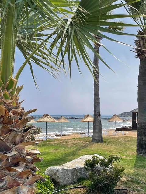Natural landscape, Garden, Beach, Garden view, Sea view