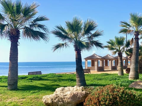 Natural landscape, Garden, Beach, Garden view, Sea view