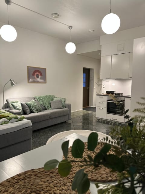 Maisa's studio saunallinen huoneisto Apartment in Finland