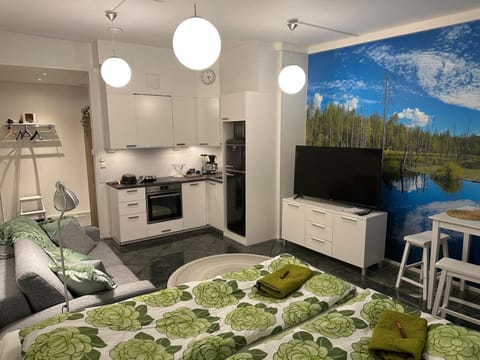 Maisa's studio saunallinen huoneisto Apartment in Finland