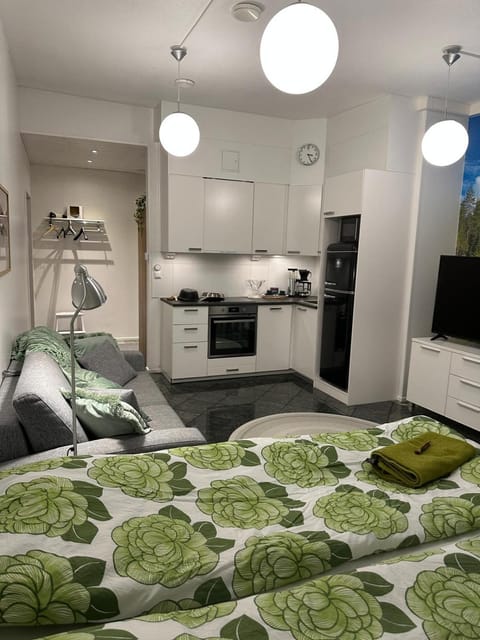 Maisa's studio saunallinen huoneisto Apartment in Finland